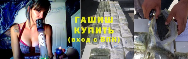 индика Богородск